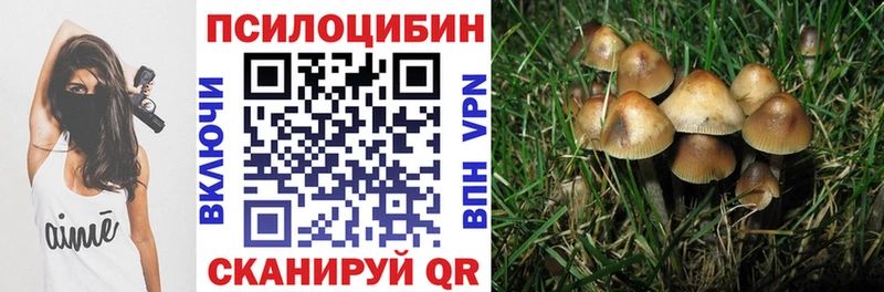Псилоцибиновые грибы Psilocybe  Назрань 